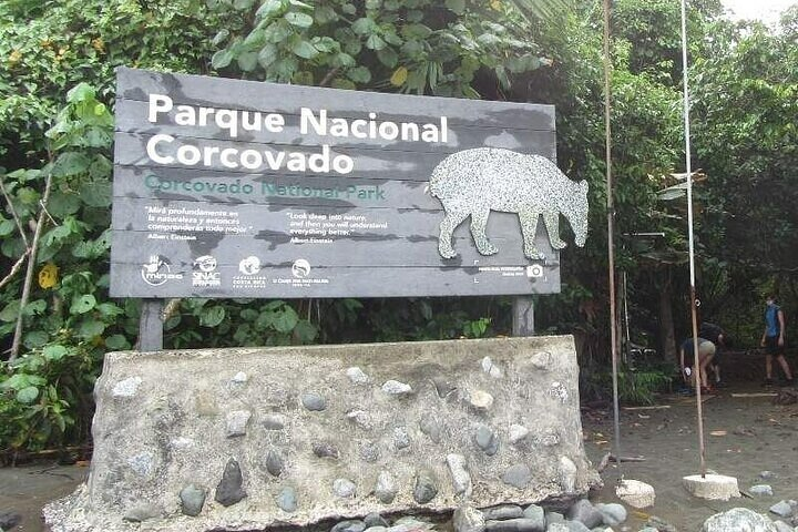 Corcovado National Park - Day Tour from Drake Bay - Photo 1 of 8